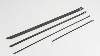 RVS-316 Cable ties