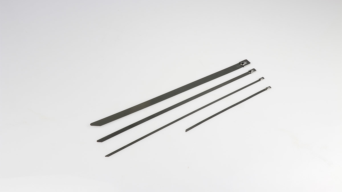 RVS-316 Cable ties